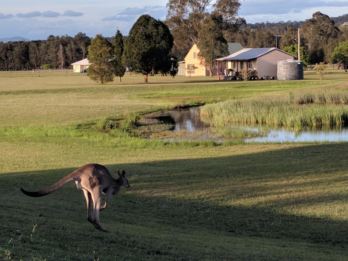 Madigan Wine Country Cottages เลิฟเดล ภายนอก รูปภาพ